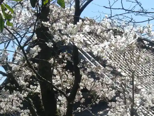 浄光明寺の自然