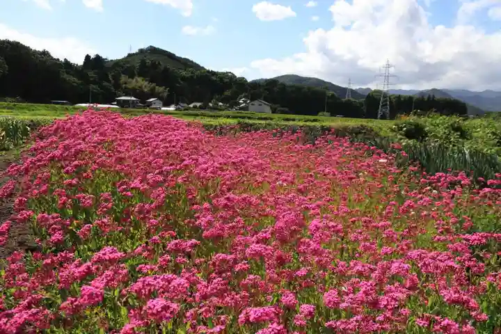 高司神社〜むすびの神の鎮まる社〜の周辺