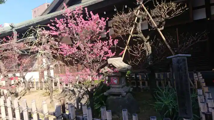 大阪天満宮の自然