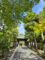 慈照寺(慈照禅寺・銀閣寺)(京都府)