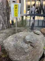 六波羅蜜寺の御朱印