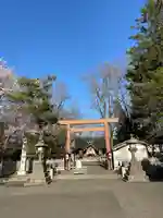旭川神社の鳥居