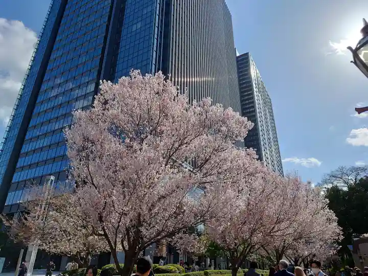 東京大神宮(東京都)