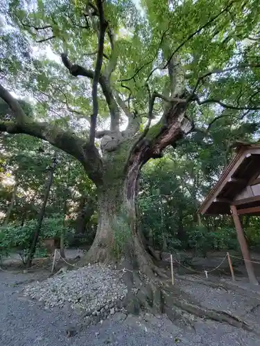 月夜見宮（豊受大神宮別宮）(三重県)