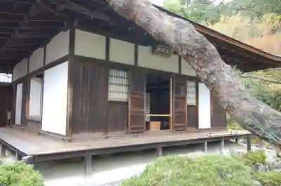 慈照寺（慈照禅寺・銀閣寺）の本殿・本堂