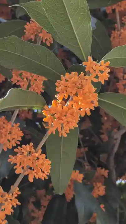 行願寺(革堂)(京都府)
