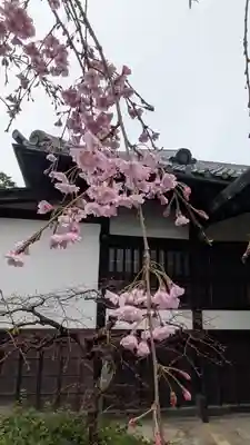得浄明院(善光寺別院)(京都府)