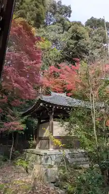 栖賢寺(京都府)