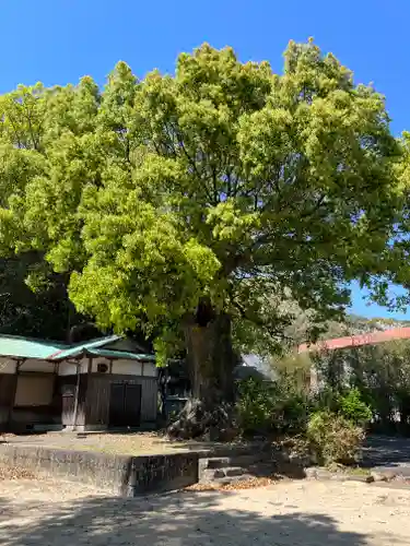補陀洛山寺(和歌山県)