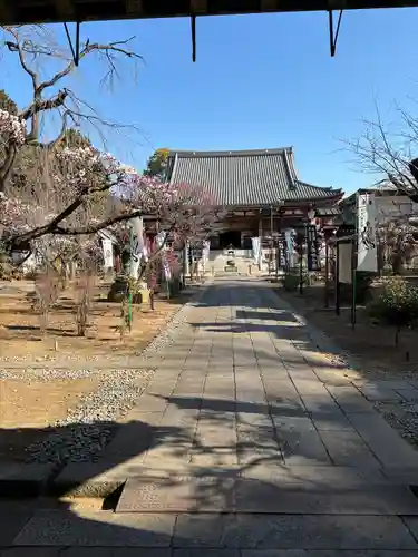 輪王寺両大師堂(寛永寺輪王殿)(東京都)