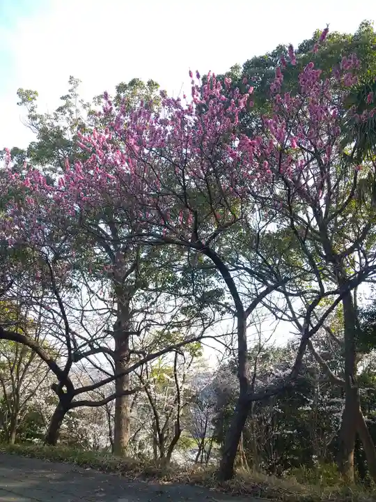 足高神社の自然