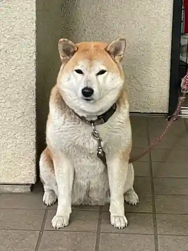 笠䅣稲荷神社(神奈川県)