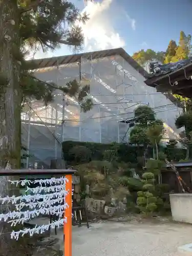 白鬚神社(滋賀県)