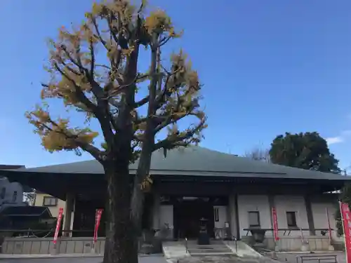 明治寺の本殿・本堂