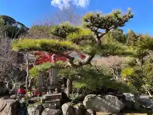 伊勢の国 四天王寺の自然(2022年12月15日(木) 18時52分31秒投稿)