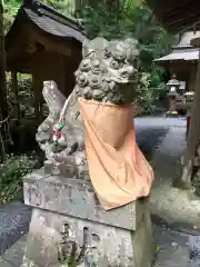 貴船神社奥宮の狛犬