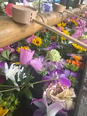 群馬県護国神社(群馬県)