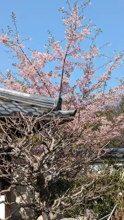 後白河院御聖蹟 法住寺の自然