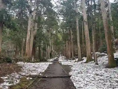平泉寺白山神社(福井県)