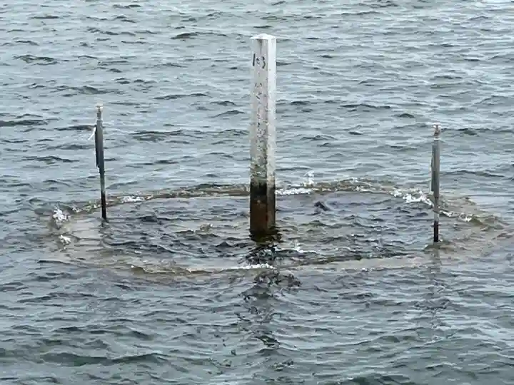 満月寺(浮御堂)(滋賀県)