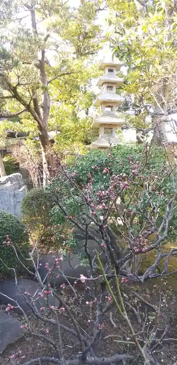 石歴山 妙勝寺のその他建物