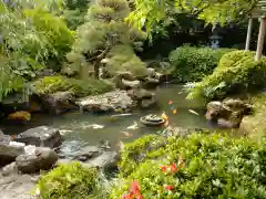 金蛇水神社の庭園