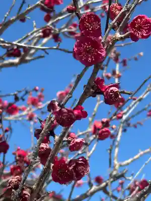 綱敷天満宮の{uncategorized: "未分類", other: "その他", undefined: "問題あり", building: "その他建物", grave: "お墓", sacred_gate: "鳥居", guardian: "狛犬", statue: "像", buddha: "仏像", history: "歴史", nature: "自然", garden: "庭園", animal: "動物", pagoda: "塔", temizu: "手水舎", mountain_gate: "山門・神門", sanctuary: "本殿・本堂", subordinate: "末社・摂社", art: "芸術", scenery: "景色", jizo: "地蔵", ema: "絵馬", goshuin: "御朱印", omikuji: "おみくじ", items: "授与品その他", amulet: "お守り", goshuincho: "御朱印帳", eats: "食事", festival: "お祭り", votive_dance: "神楽", shichigosan: "七五三参", wedding: "結婚式", experience: "体験その他", initially: "初詣", around: "周辺", anti_infection: "感染症対策"}
