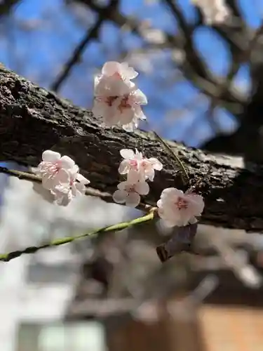 平河天満宮の自然