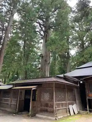 日枝神社のその他建物