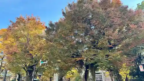大國魂神社の{uncategorized: "未分類", other: "その他", undefined: "問題あり", building: "その他建物", grave: "お墓", sacred_gate: "鳥居", guardian: "狛犬", statue: "像", buddha: "仏像", history: "歴史", nature: "自然", garden: "庭園", animal: "動物", pagoda: "塔", temizu: "手水舎", mountain_gate: "山門・神門", sanctuary: "本殿・本堂", subordinate: "末社・摂社", art: "芸術", scenery: "景色", jizo: "地蔵", ema: "絵馬", goshuin: "御朱印", omikuji: "おみくじ", items: "授与品その他", amulet: "お守り", goshuincho: "御朱印帳", eats: "食事", festival: "お祭り", votive_dance: "神楽", shichigosan: "七五三参", wedding: "結婚式", experience: "体験その他", initially: "初詣", around: "周辺", anti_infection: "感染症対策"}