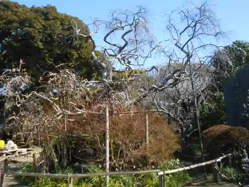 宝戒寺の庭園