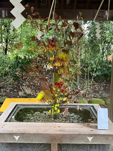 赤坂氷川神社(東京都)