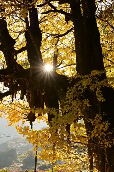 八畝観音堂(高知県)