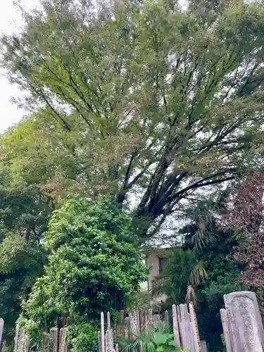 佛心寺(東京都)