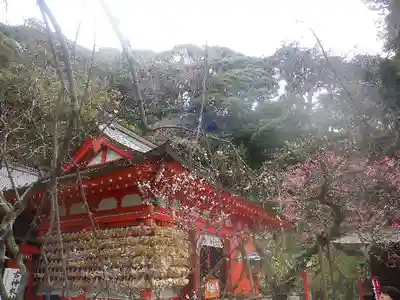 荏柄天神社の本殿・本堂