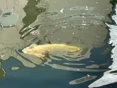 大阪天満宮(大阪府)