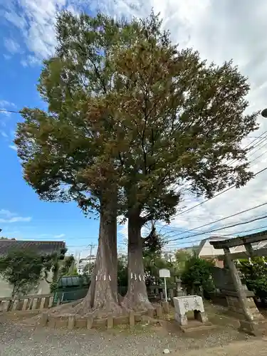 春日神社(東京都)