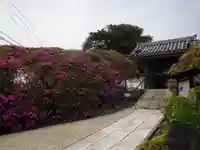 安養院 (田代寺)の山門・神門