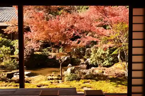 実相院門跡(京都府)