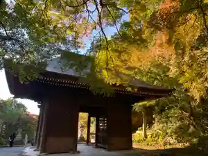 普門寺(切り絵御朱印発祥の寺)の山門・神門(2020年11月29日(日) 20時30分23秒投稿)