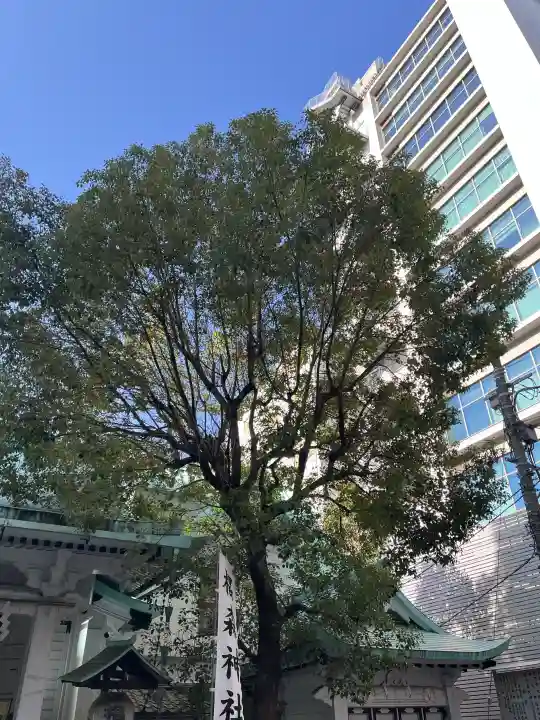 椙森神社の{uncategorized: "未分類", other: "その他", undefined: "問題あり", building: "その他建物", grave: "お墓", sacred_gate: "鳥居", guardian: "狛犬", statue: "像", buddha: "仏像", history: "歴史", nature: "自然", garden: "庭園", animal: "動物", pagoda: "塔", temizu: "手水舎", mountain_gate: "山門・神門", sanctuary: "本殿・本堂", subordinate: "末社・摂社", art: "芸術", scenery: "景色", jizo: "地蔵", ema: "絵馬", goshuin: "御朱印", omikuji: "おみくじ", items: "授与品その他", amulet: "お守り", goshuincho: "御朱印帳", eats: "食事", festival: "お祭り", votive_dance: "神楽", shichigosan: "七五三参", wedding: "結婚式", experience: "体験その他", initially: "初詣", around: "周辺", anti_infection: "感染症対策"}