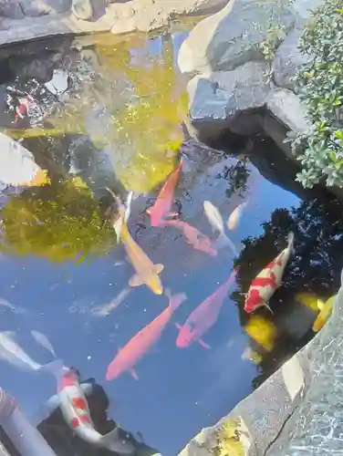 尾張猿田彦神社(愛知県)