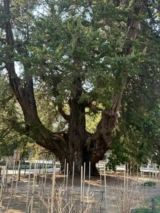 建長寺(神奈川県)