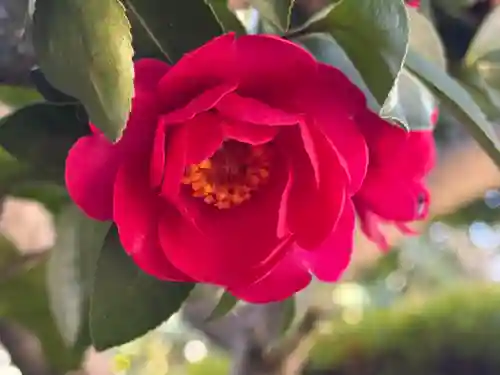 西方山極楽寺(岐阜県)