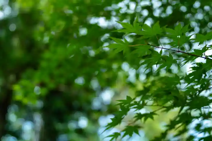 山家神社(長野県)