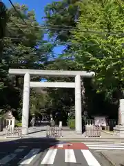 阿佐ヶ谷神明宮の鳥居