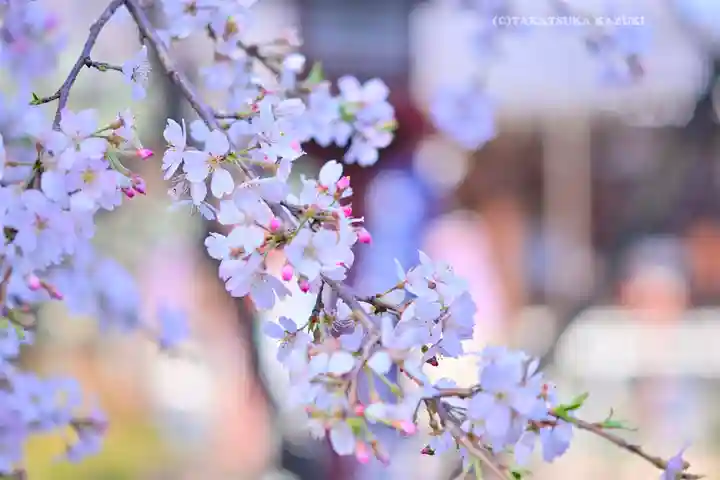 寛永寺開山堂(東京都)