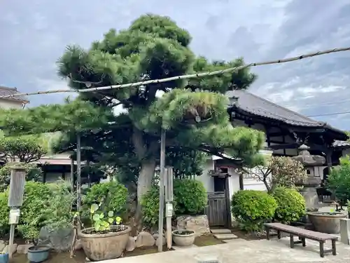 蓮華寺(東京都)