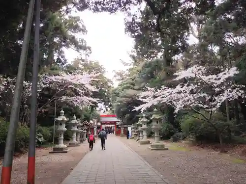 息栖神社の自然