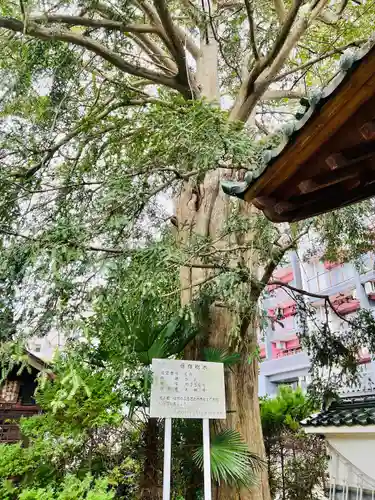 大林寺(宮城県)